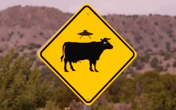 Road sign showing a UFO above a cow. Credit Bruce Warrington via Unsplash.