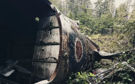 Old wrecked aircraft fuselage in a forest. Credit: Peter Chiykowksi via Unsplash