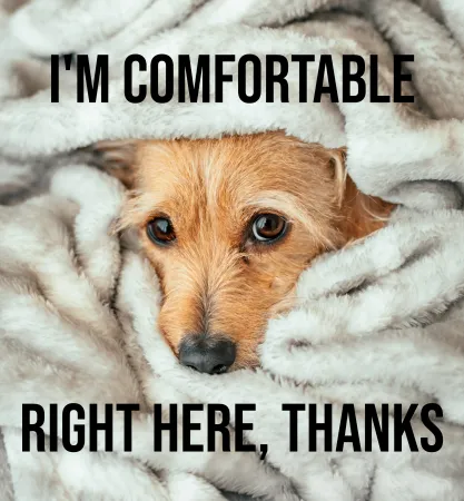 I'm comfortable right here, thanks