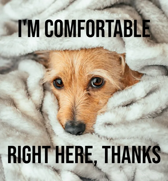 I'm comfortable right here, thanks