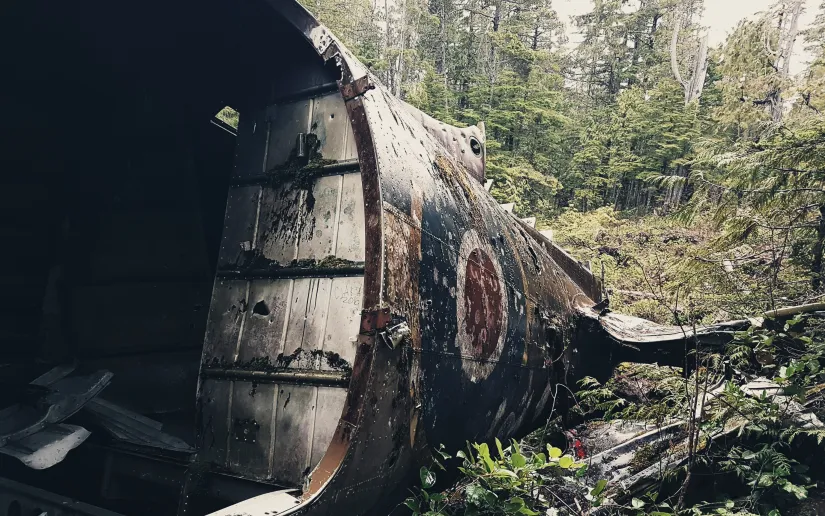 Old wrecked aircraft fuselage in a forest. Credit: Peter Chiykowksi via Unsplash