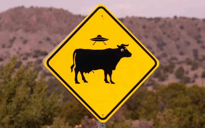 Road sign showing a UFO above a cow. Credit Bruce Warrington via Unsplash.